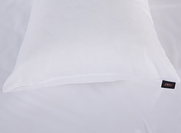 Luxury 100% pure white goose down 5 star hotel pillow